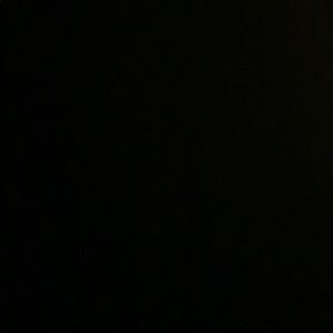 Meet your Posher, Lincoln